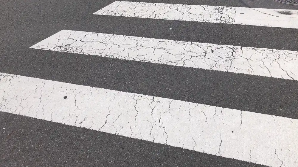 「横断歩道」という名の、最も賢い投資。